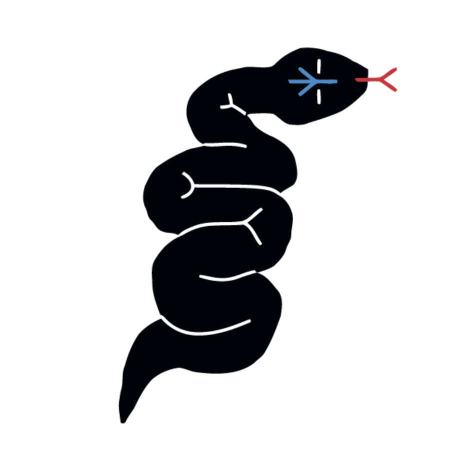 CULEBRA (Pack de 2)-1