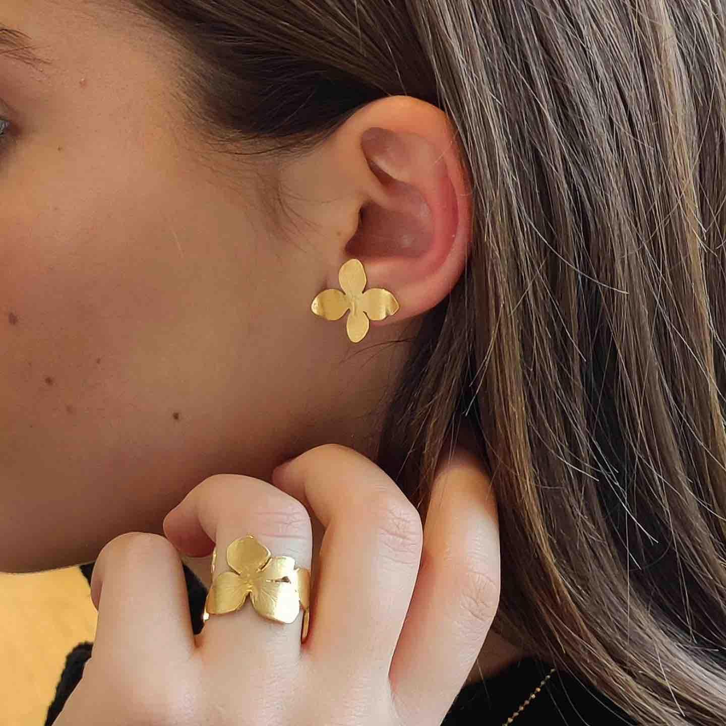 Conjunto Hortensia