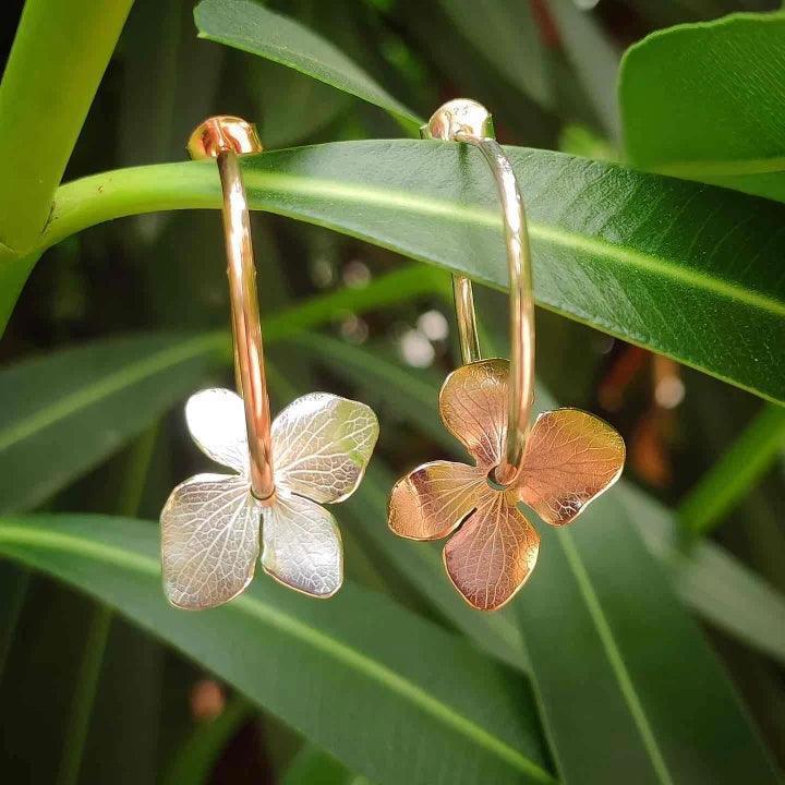 Conjunto Hydrangea